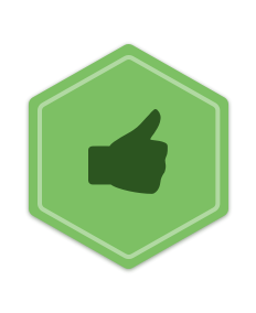 Estatuto: Her&oacute;i dos Conselhos n&iacute;vel 1