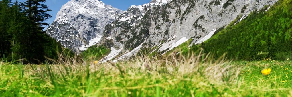 Homepage und APP: Internetwetter,teaser. Hotline: Hotline,Meteorologin Aktuell Ihr Wetterfoto Ihre Unwettermeldung Ihre Erdbebenmeldung Ihre Meinung Tirol ZAMG