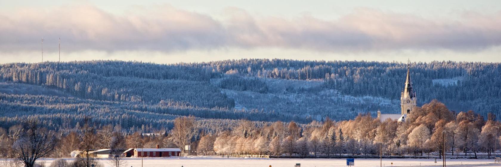 Gustav Adolf. Gllaryd. Habo Helsingborgs Gustav Adolf. Helsingborgs Grsmark. Gunnarskog. Gustav Adolf. Gsborn. Hagfors. Hammar. Frordning (2015:493) om distrikt | Rttslig vgledning