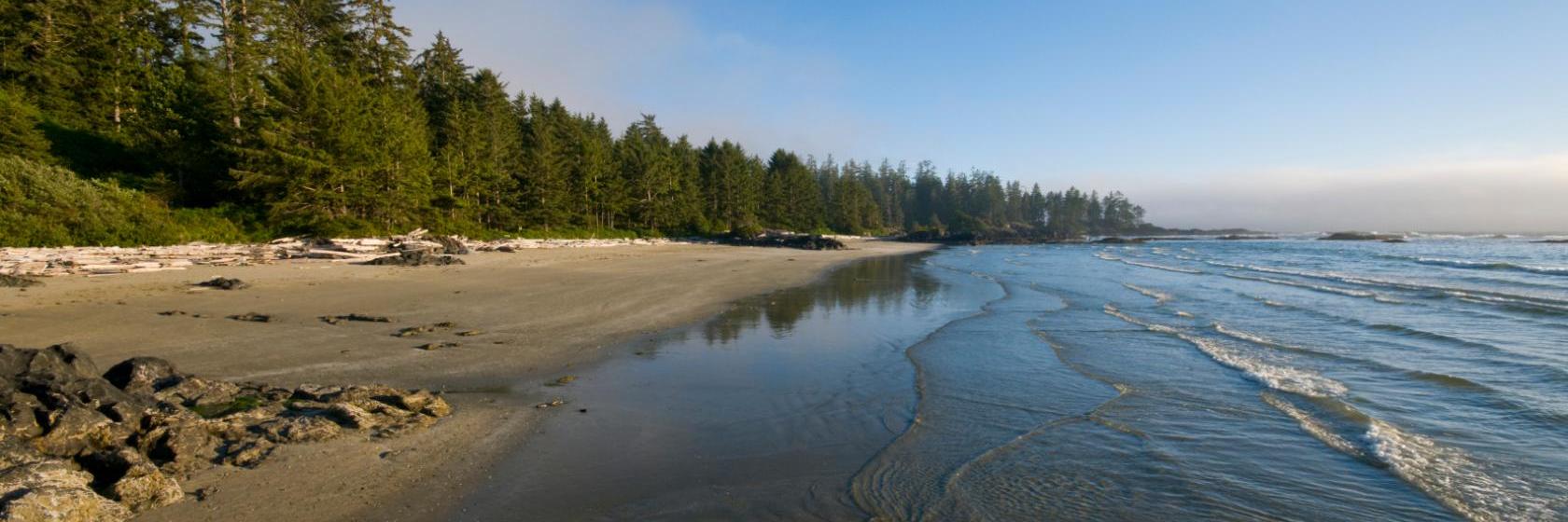 Die 10 Besten Hotels In Tofino Kanada Ab 62