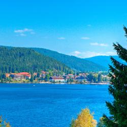 The 10 Best Black Forest Hotels Where To Stay In Black Forest