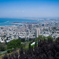 Haifa 343 hotels