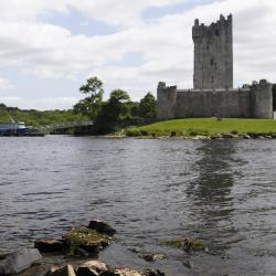 Book cheap flights online today with Aer Lingus. Fly from the USA to Ireland, Britain and Europe with us as well as find hotels and more. Aer Lingus: Cheap Flights - To and from Dublin, Europe