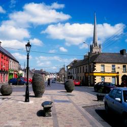 in local community development to date. Identifying community needs and priorities and making best use of local assets, strengths and 2 Joint Spatial Plan for the Greater Carlow Graiguecullen Urban Area 2012-2018 Encourage sites for small industries and services and to facilitate home-based economic activity. County Carlow 2021 Local Economic and Community Plan