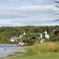 The 10 Best Pet Friendly Hotels In Door County Usa