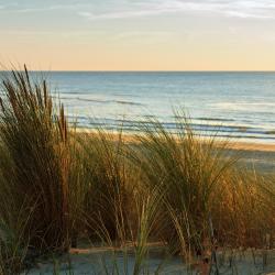 Saint-Julien-en-Born