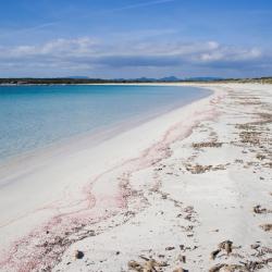 Formentera I 30 Migliori Hotel Formentera Spagna Dove