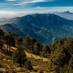 Hoteles baratos cerca de Alotenango, Guatemala Dónde dormir cerca de