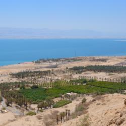 Ein Gedi 5 hotels