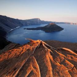 The Best Available Hotels Places To Stay Near Cottage Grove Or