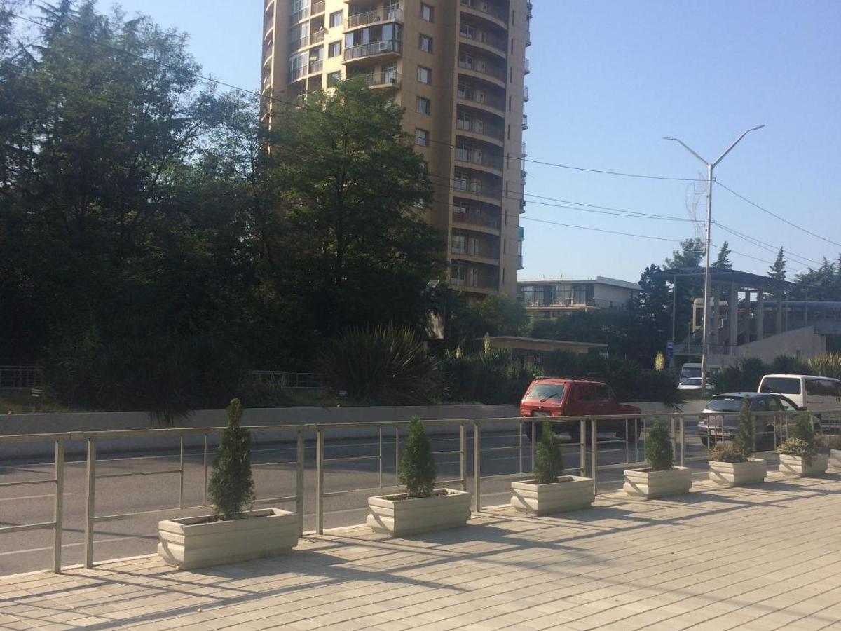 Апартаменты Luxury У Моря, (Сочи) , цены на номера от 3290 руб, отзывы, фото заб