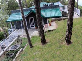 The 10 Best Pet Friendly Hotels In Kasauli India Booking Com