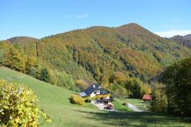 Eco-house Zivljenje na visokem