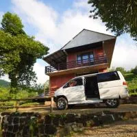 Oasis GASAMANIA, Batumi - Promo Code Details