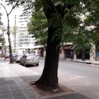 Belgrano R & Apart In Suite