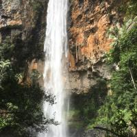 Booking Com Hotels In Springbrook Book Your Hotel Now