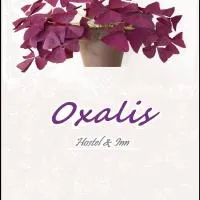 Hostel Oxalis, Tbilisi City - Promo Code Details