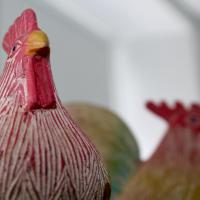 Casa do Morgado do Casco