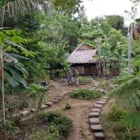 Omshanty Jungle Lodge, Leticia - Promo Code Details