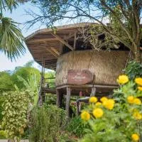 Hostal La Media Luna, Palomino - Promo Code Details
