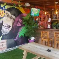 Purple Monkey Hostel, Medellín - Promo Code Details