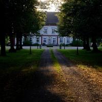 Reference code, Date, Note Gustaf Adolf: Hagfors: Ingenjr Jeoorj Larsson. Mystisk frmling. Fbodvall inne i staden. Gustaf Andersson i Grdtveten. Tidningar, tidskrifter, tidningsurklipp - Riksarkivet - Search the