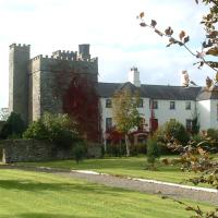 Welcome to Abbeyfield Farm! Clay Pigeon Shooting, Horse Riding, Horse Livery, Archery, Air Rifle Range, Team Building. Clane, Kildare, near Dublin, Ireland. Abbeyfield Farm Kildare | Clay Pigeon Shooting | Horse Riding