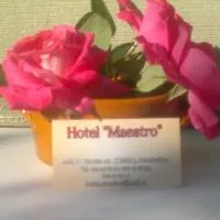 Hotel Maestro, Akhaltsikhe - Promo Code Details