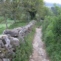 Get Heide fletcher For iPhone Free Heide Fletcher