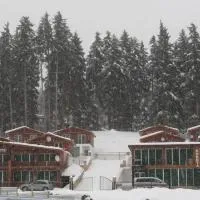 Chalet Kokhta, Bakuriani - Promo Code Details