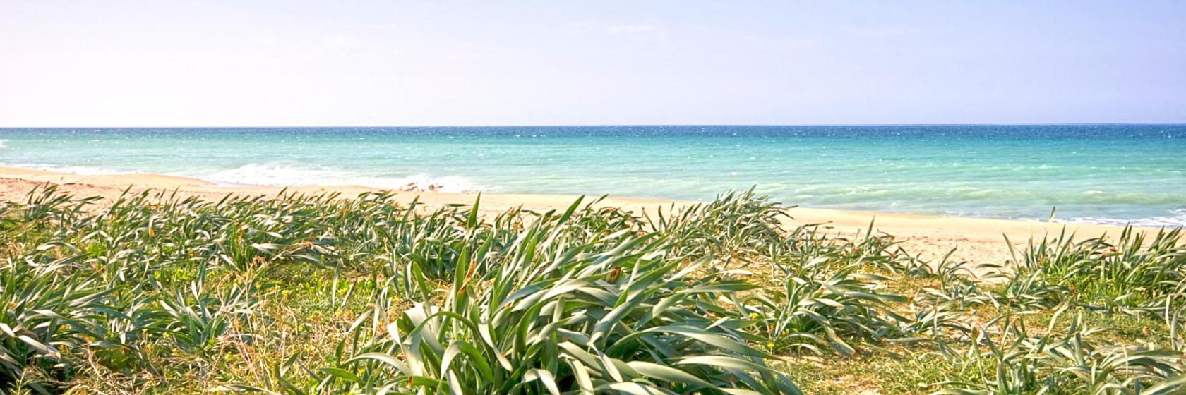 Download Barat platja decoracions For Android