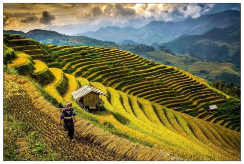 Phong cảnh xung quanh homestay DO GU