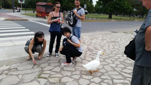 Manager's trip