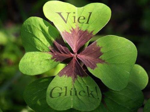 ...finden Sie auch bei uns! Hereinspaziert!