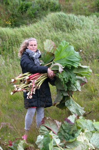 Inga Elsa Bergthorsdottir