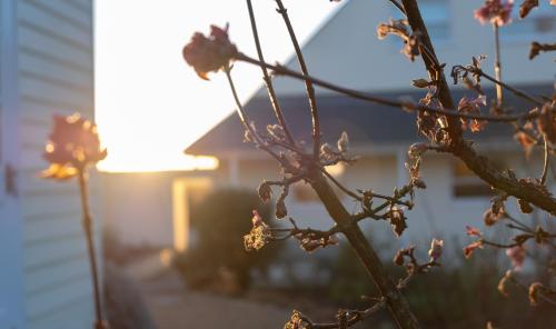 Meadow Cottage Hawkhurst Updated 2020 Prices