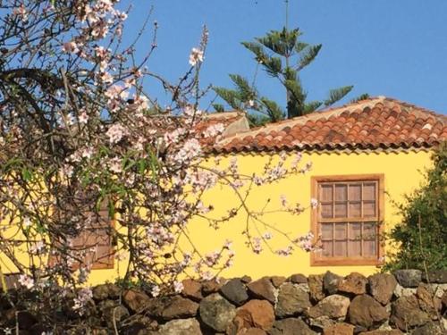 HACIENDAS DEL VALLE- Montemayor
