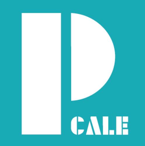 PCALE - Alojamento Local