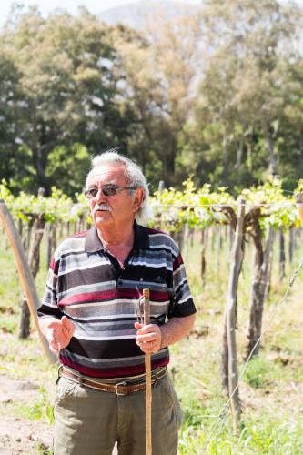 Tino Ranea